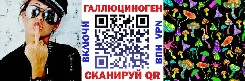 закладка  Зеленодольск  Галлюциногенные грибы Psilocybine cubensis 